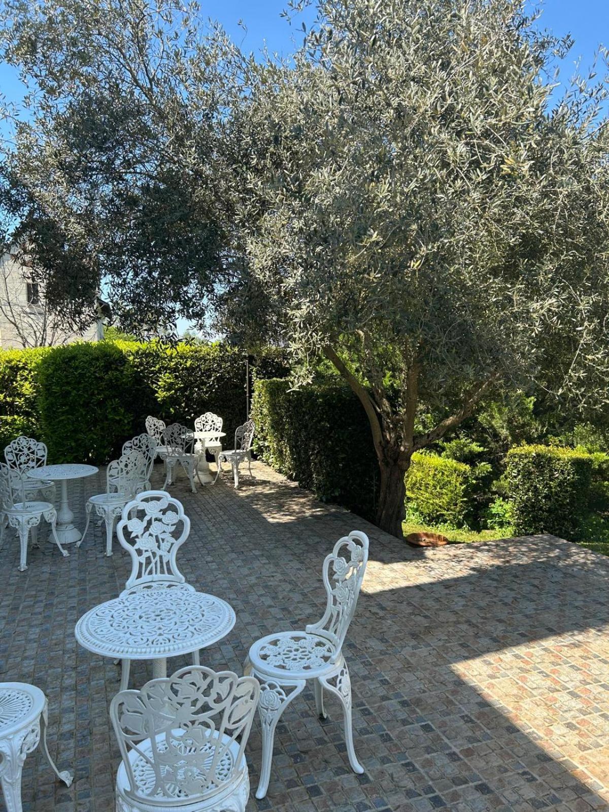 ホテル Logis Demeure De La Vignole Turquant エクステリア 写真